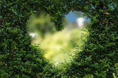Gartengestaltungsgeschenke, die jedes Gärtnerherz höher schlagen lassen